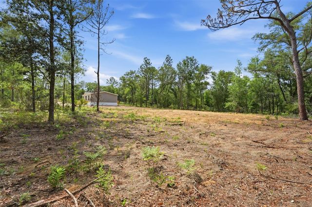 12671 NE 16TH STREET, Williston, FL 32696