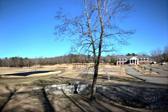 25 DUNHILL CT, Counce, TN 38326