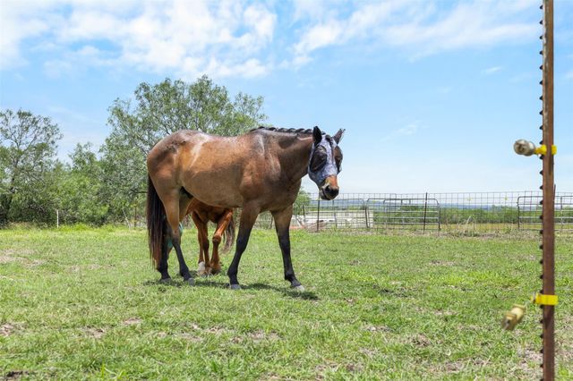 1190 Dickerson RD, Lockhart, TX 78644