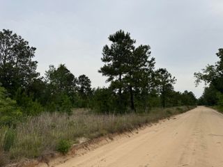 3.19a Finback Road, Wagener, SC 29164