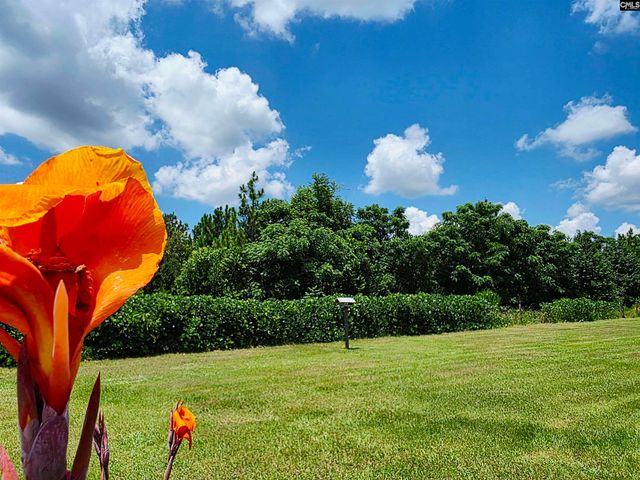 1187 McCaskill Road, Camden, SC 29020