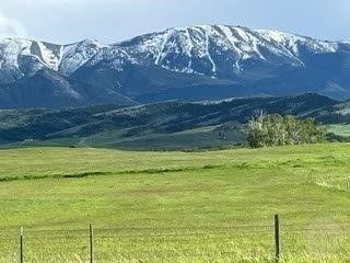 NSN Highway 78 (176.68 acres), Red Lodge, MT 59068