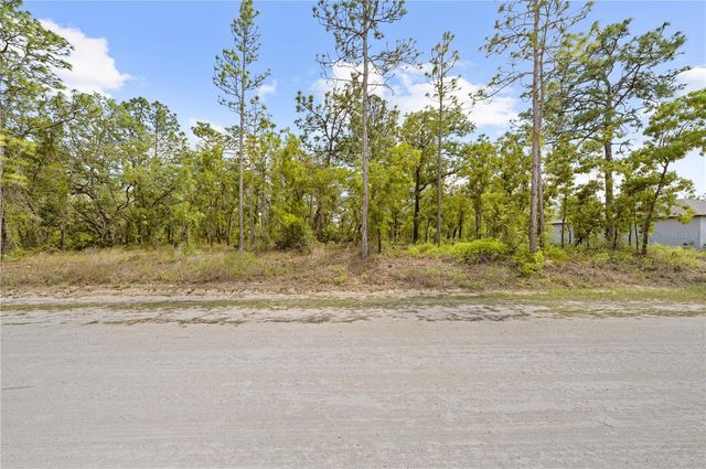 0 SANDPIPER AVENUE, Weeki Wachee, FL 34614
