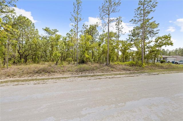0 SANDPIPER AVENUE, Weeki Wachee, FL 34614