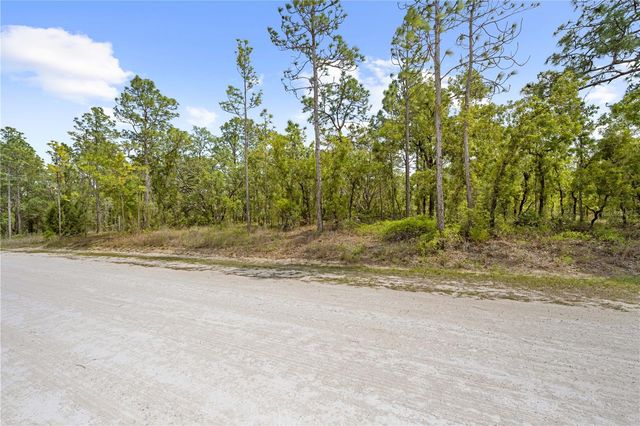 0 SANDPIPER AVENUE, Weeki Wachee, FL 34614