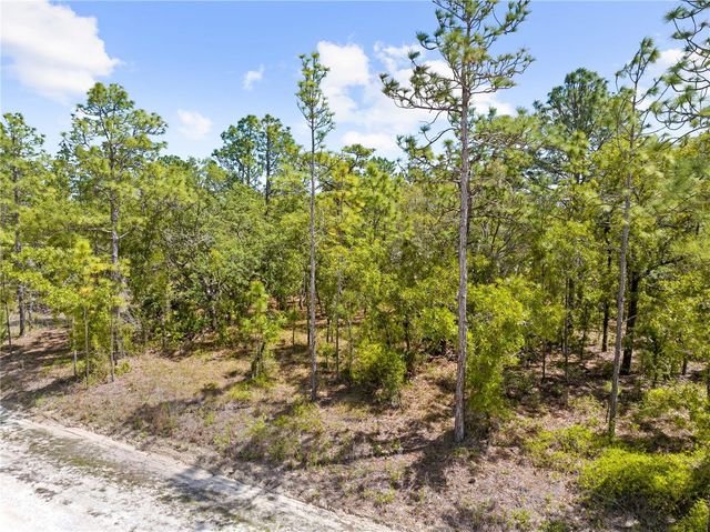 0 SANDPIPER AVENUE, Weeki Wachee, FL 34614