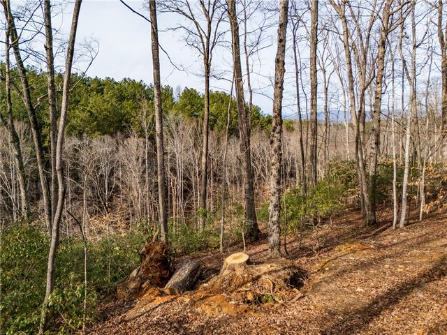 Lot 117 Pine Harbor Way, Salem, SC 29676