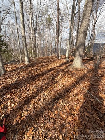 00000 Worley Cove Road, Canton, NC 28716