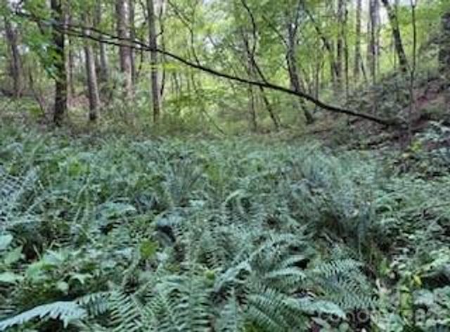 00000 Worley Cove Road, Canton, NC 28716