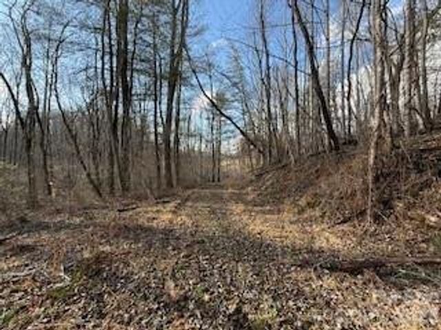 00000 Worley Cove Road, Canton, NC 28716