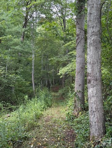 00000 Worley Cove Road, Canton, NC 28716