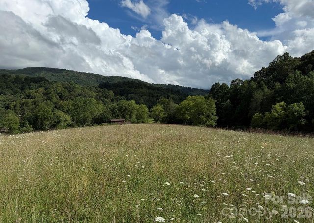 00000 Worley Cove Road, Canton, NC 28716