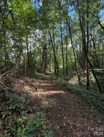 00000 Worley Cove Road, Canton, NC 28716