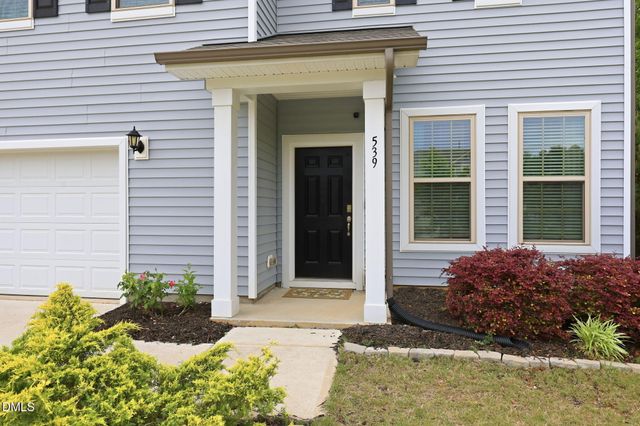 539 River Dell Townes Avenue, Clayton, NC 27527
