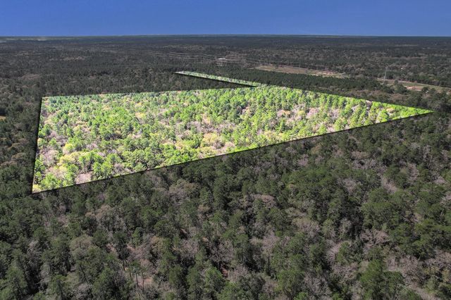 TBD Cr 302, Plantersville, TX 77363