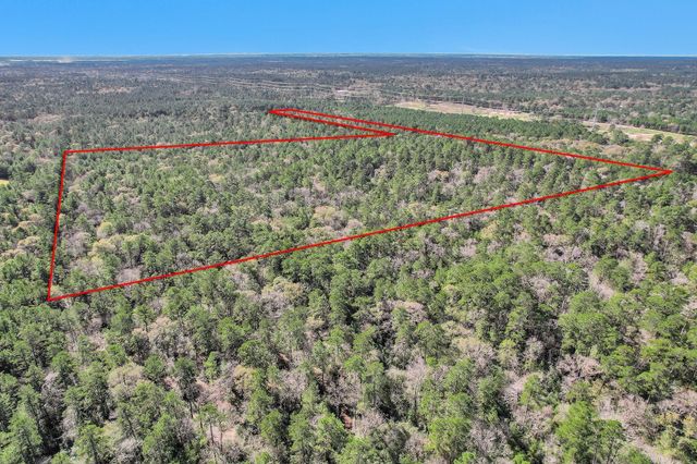 TBD Cr 302, Plantersville, TX 77363