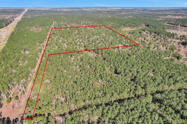 TBD Cr 302, Plantersville, TX 77363
