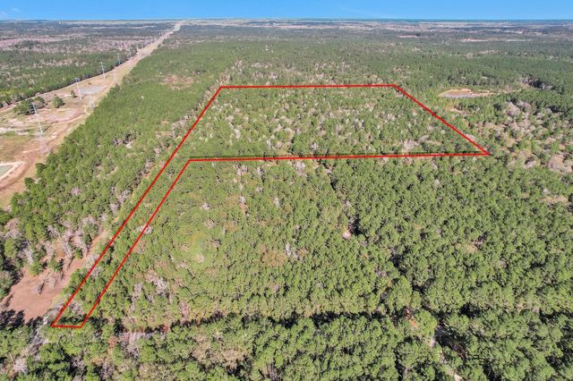 TBD Cr 302, Plantersville, TX 77363