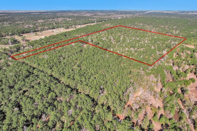 TBD Cr 302, Plantersville, TX 77363