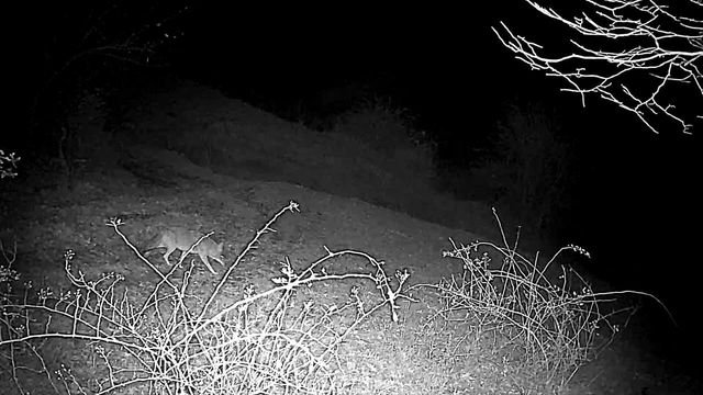 Lot 1 329 ACRES COUNTY ROAD S, Boscobel, WI 53805