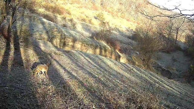 Lot 1 329 ACRES COUNTY ROAD S, Boscobel, WI 53805