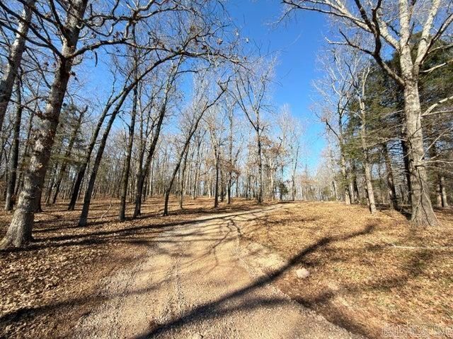 1520 Mountain View Road, Locust Grove, AR 72550