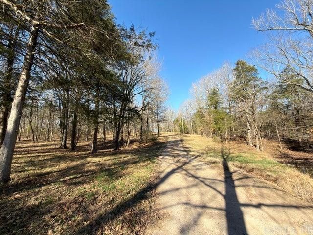 1520 Mountain View Road, Locust Grove, AR 72550