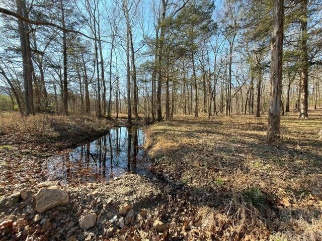 1520 Mountain View Road, Locust Grove, AR 72550