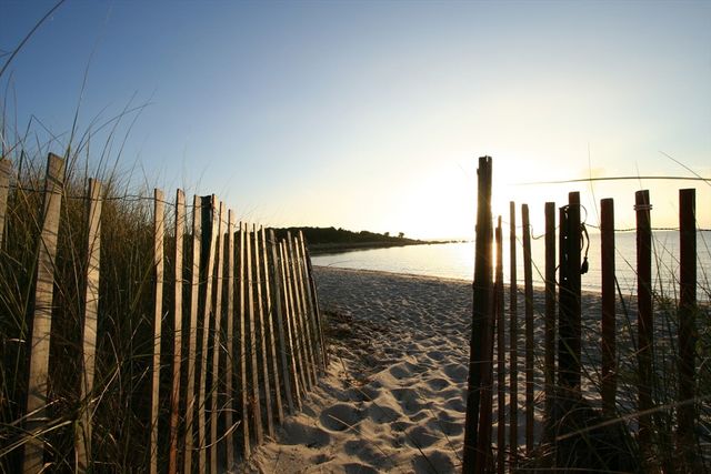 100 Dillingham Ave 101A, Falmouth, MA 02540