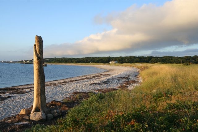 100 Dillingham Ave 101A, Falmouth, MA 02540