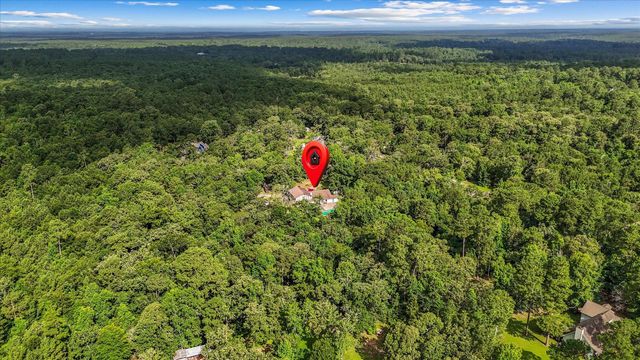 14024 Walding Woods Drive, Montgomery, TX 77356