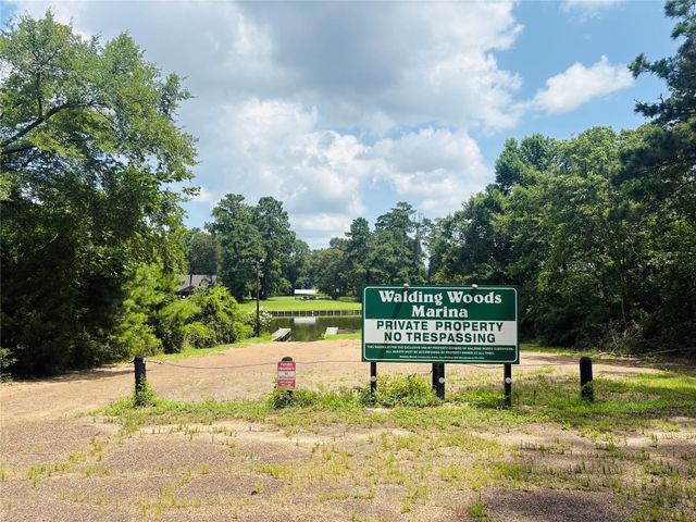 14024 Walding Woods Drive, Montgomery, TX 77356