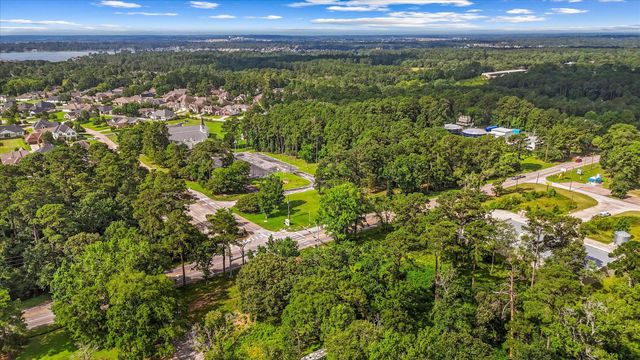 14024 Walding Woods Drive, Montgomery, TX 77356