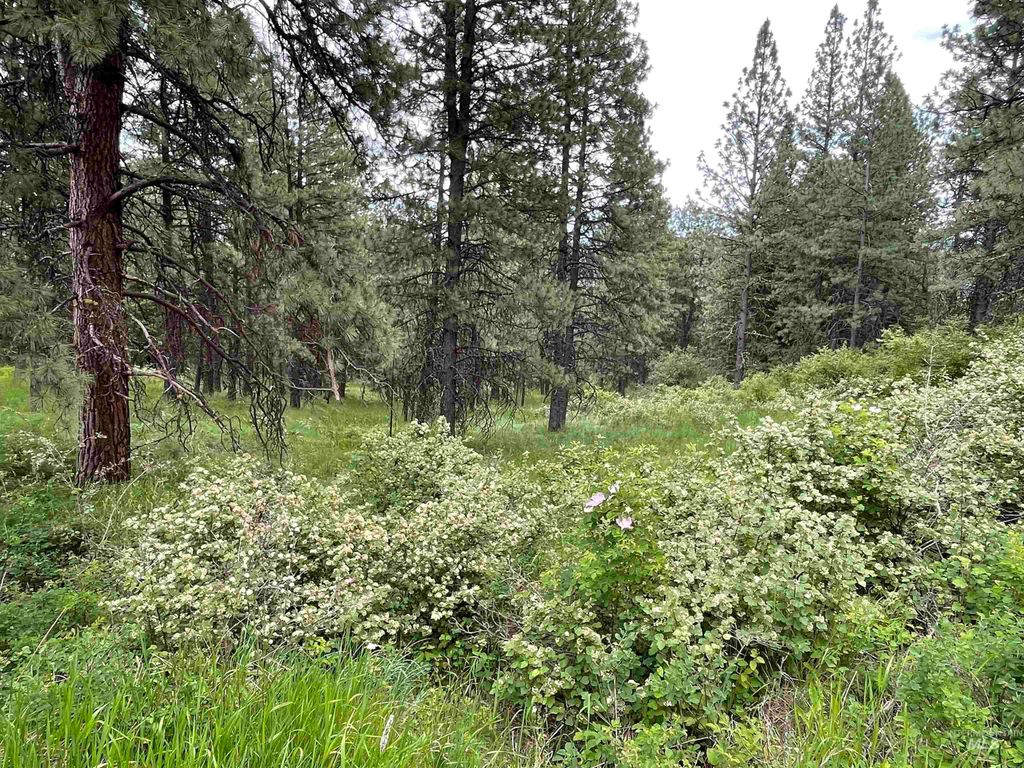 1221 Shady Lane, De Smet, ID 83824 photo 9