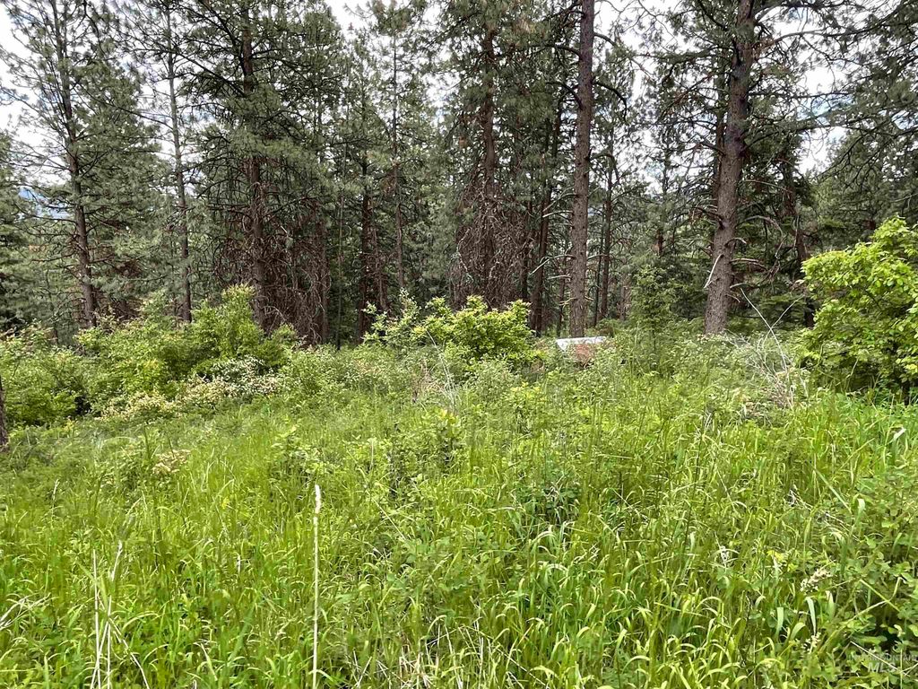 1221 Shady Lane, De Smet, ID 83824 photo 10