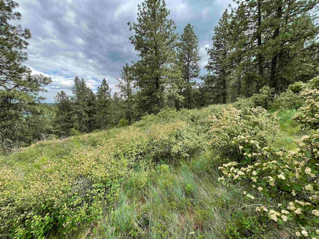 1221 Shady Lane, De Smet, ID 83824 photo 17