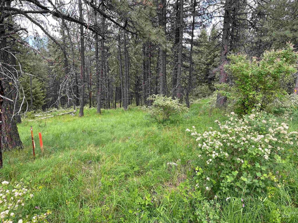 1221 Shady Lane, De Smet, ID 83824 photo 5