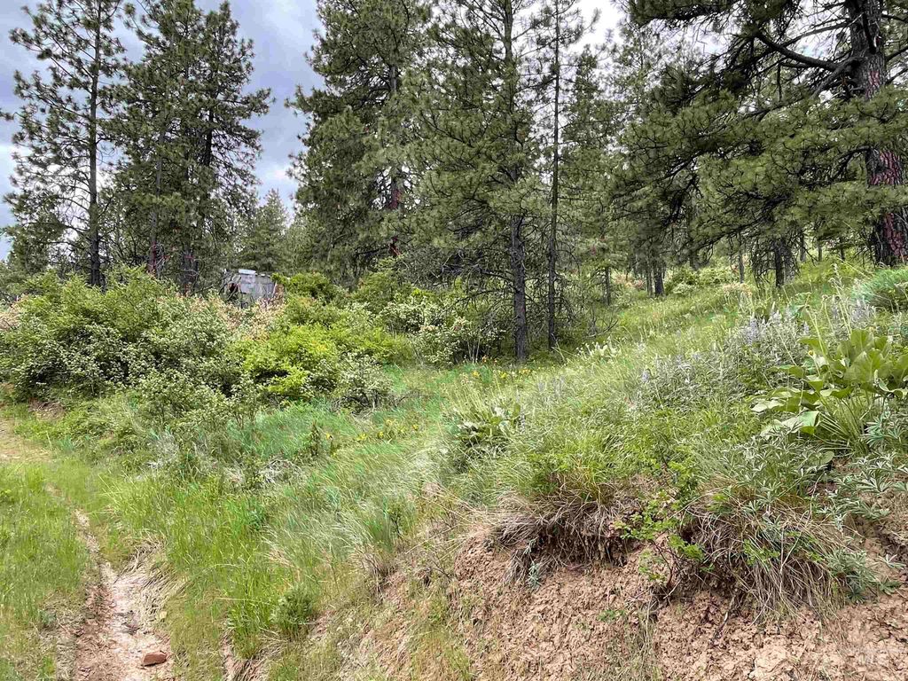 1221 Shady Lane, De Smet, ID 83824 photo 7