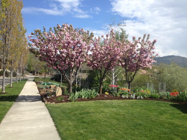 4506 Pinnacle Drive, Medford, OR 97504