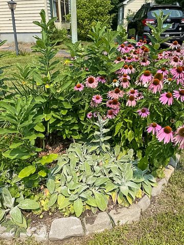 838 Middlewood Road, Williston, VT 05495