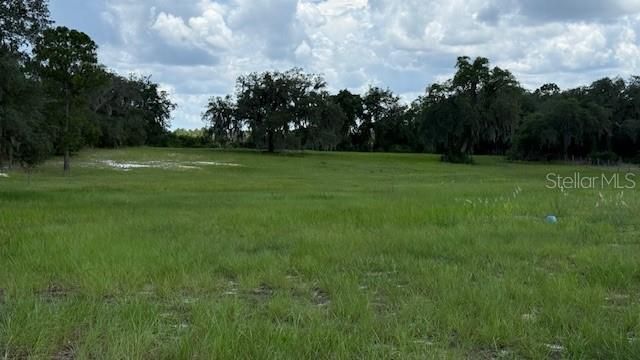 8881 DEER RUN DRIVE, Lake Wales, FL 33898