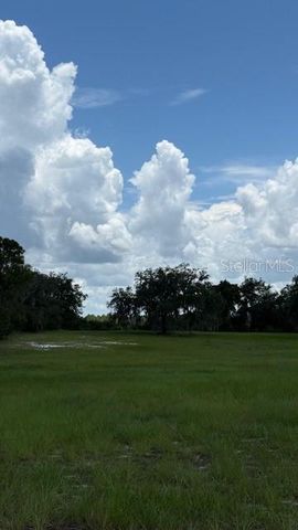 8881 DEER RUN DRIVE, Lake Wales, FL 33898