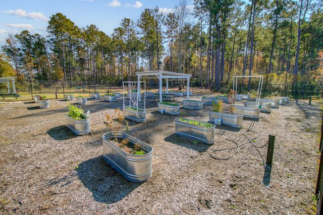 771 Blue Iris Way, Summerville, SC 29486