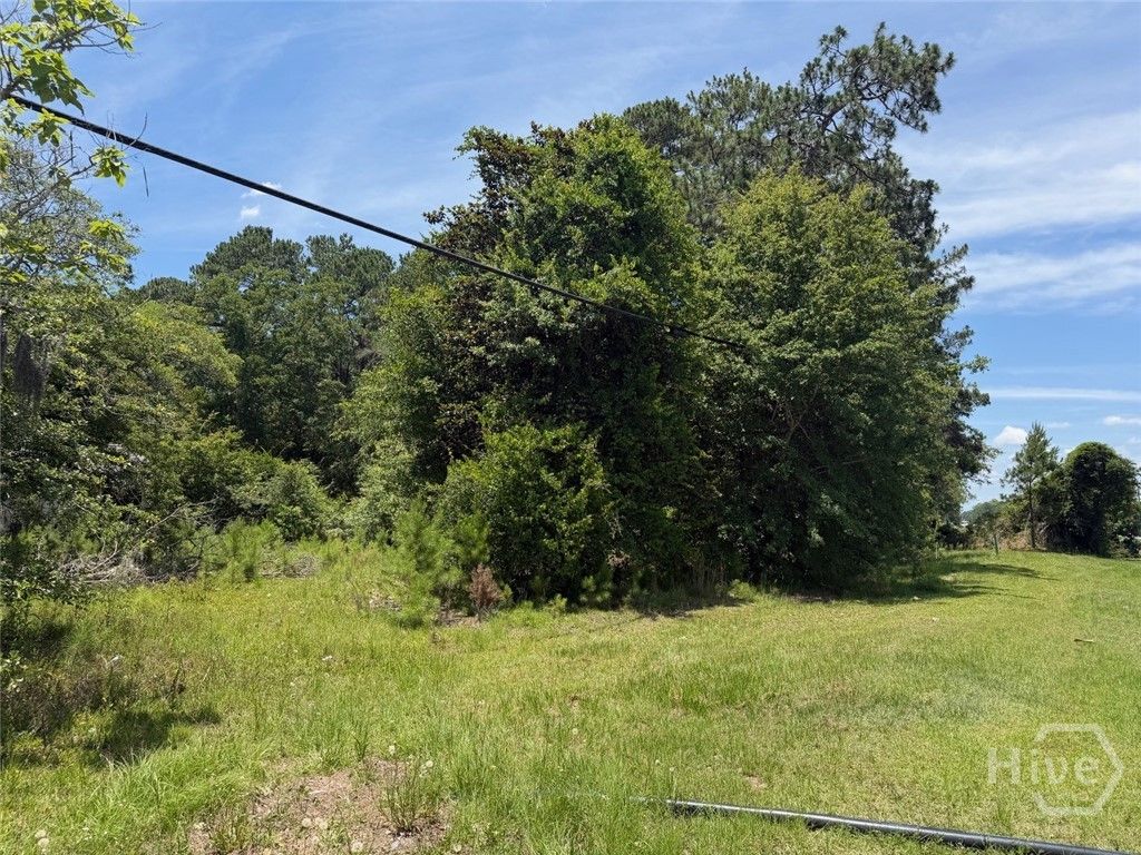 Image 4 of property listing at 5868/5864 hwy 21, Rincon, GA 31326