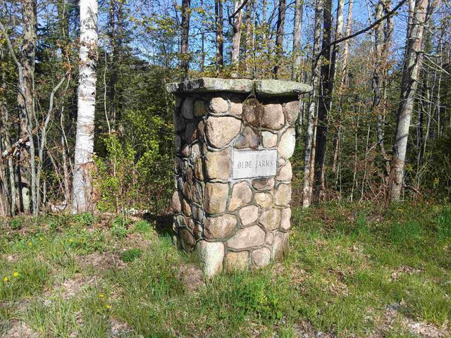 224 Walker Road, Grantham, NH 03753