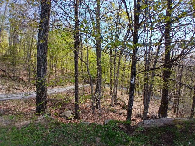 224 Walker Road, Grantham, NH 03753