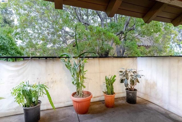 247 N Capitol Ave 271, San Jose, CA 95127