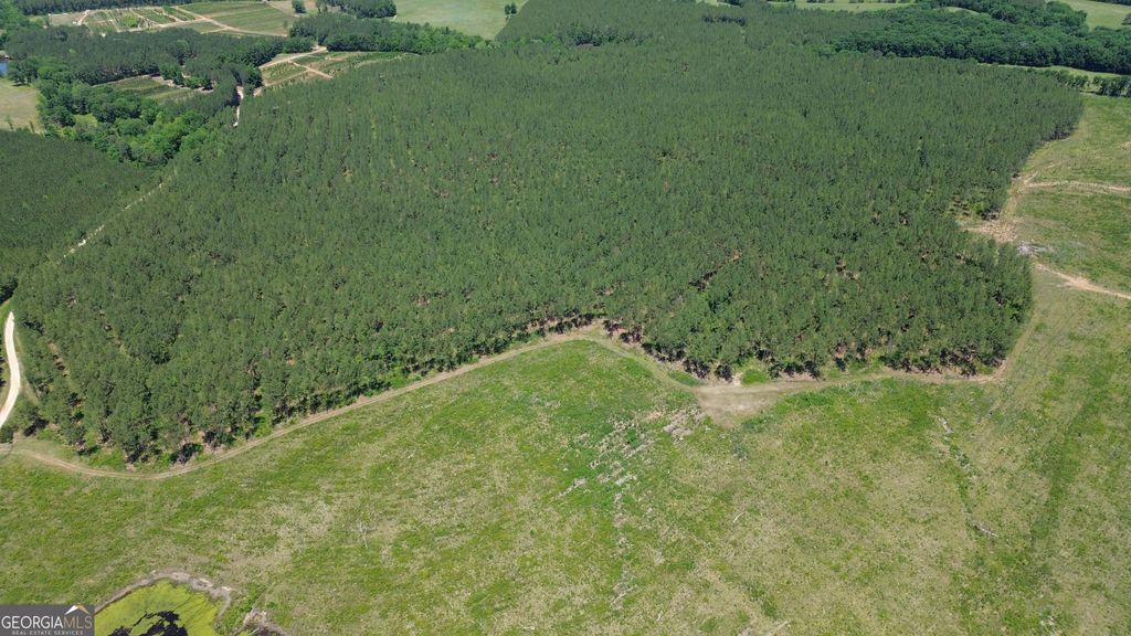 0 Flatwoods Road, Elberton, GA 30635 — photo 3