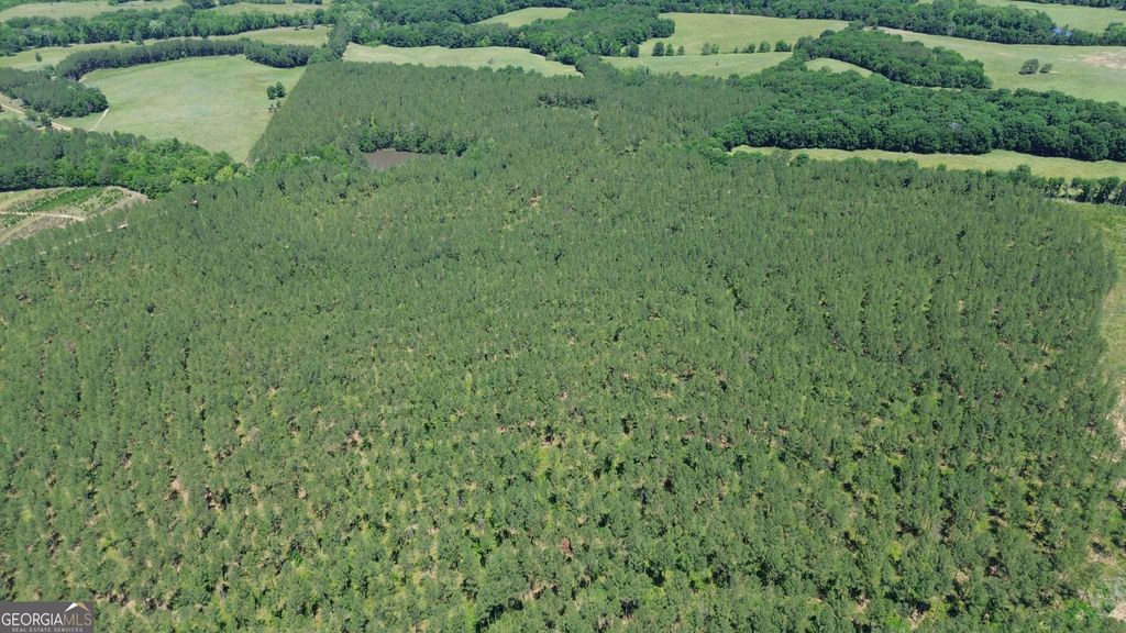 0 Flatwoods Road, Elberton, GA 30635 — photo 4