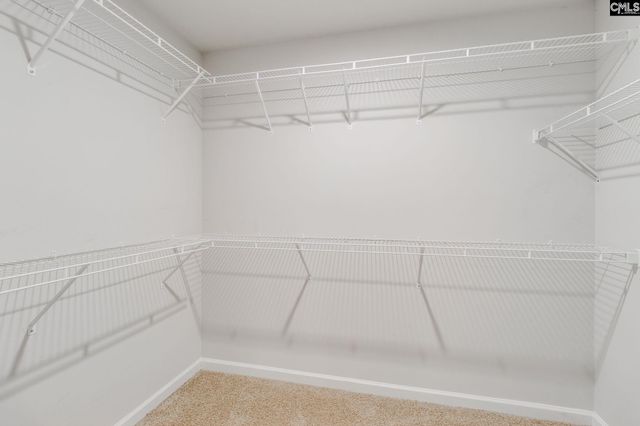 220 Cassique Drive, Lexington, SC 29073